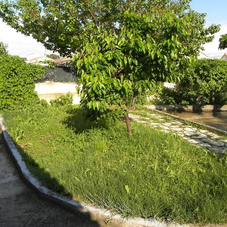 كارْبُنْترا La Maison D'Ogooue المظهر الخارجي الصورة
