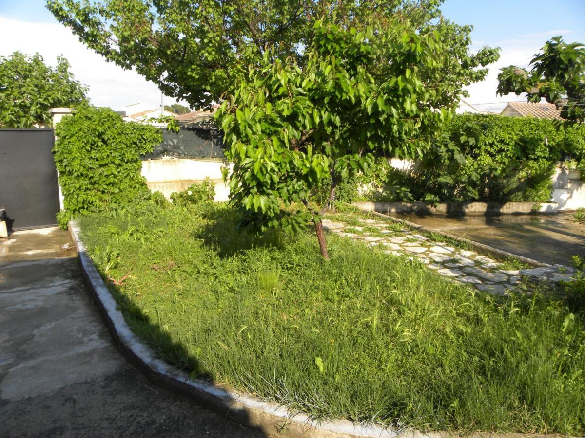كارْبُنْترا La Maison D'Ogooue المظهر الخارجي الصورة