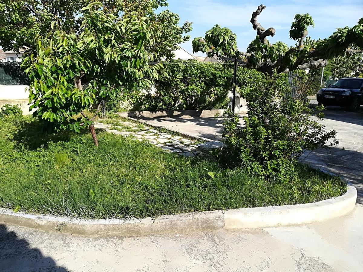كارْبُنْترا La Maison D'Ogooue المظهر الخارجي الصورة