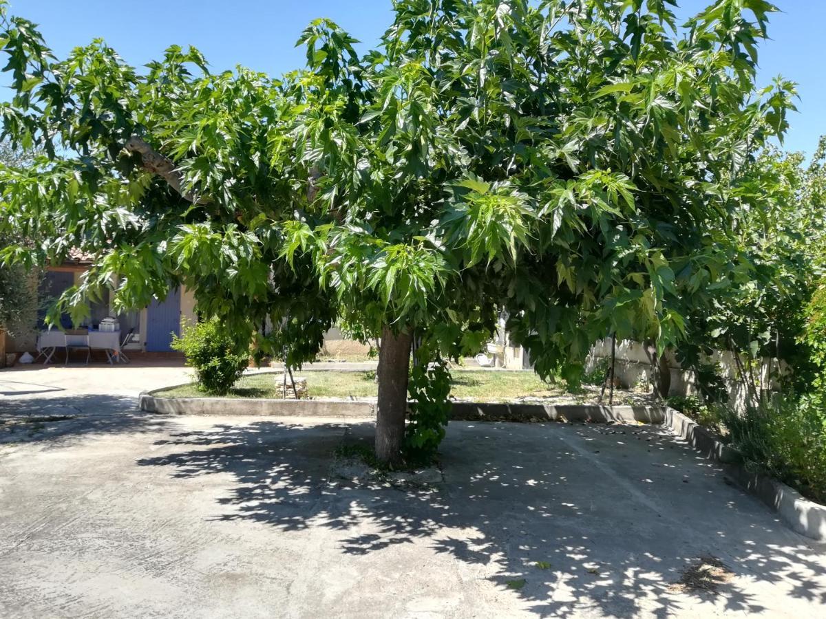 كارْبُنْترا La Maison D'Ogooue المظهر الخارجي الصورة