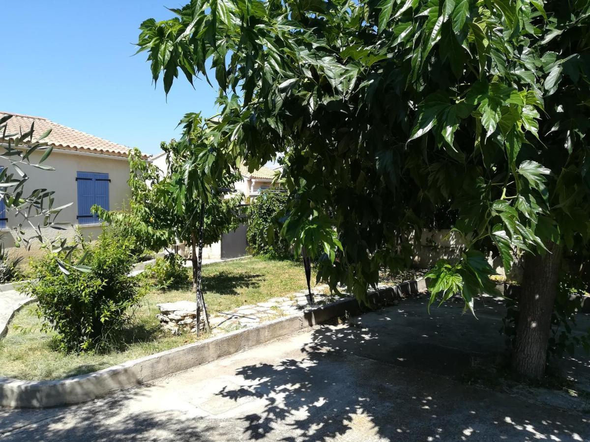 كارْبُنْترا La Maison D'Ogooue المظهر الخارجي الصورة