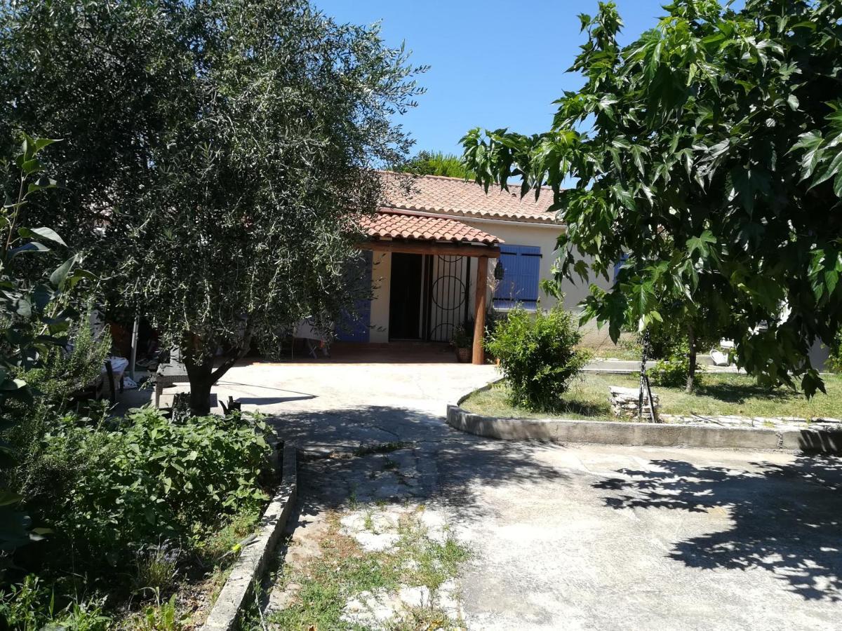 كارْبُنْترا La Maison D'Ogooue المظهر الخارجي الصورة